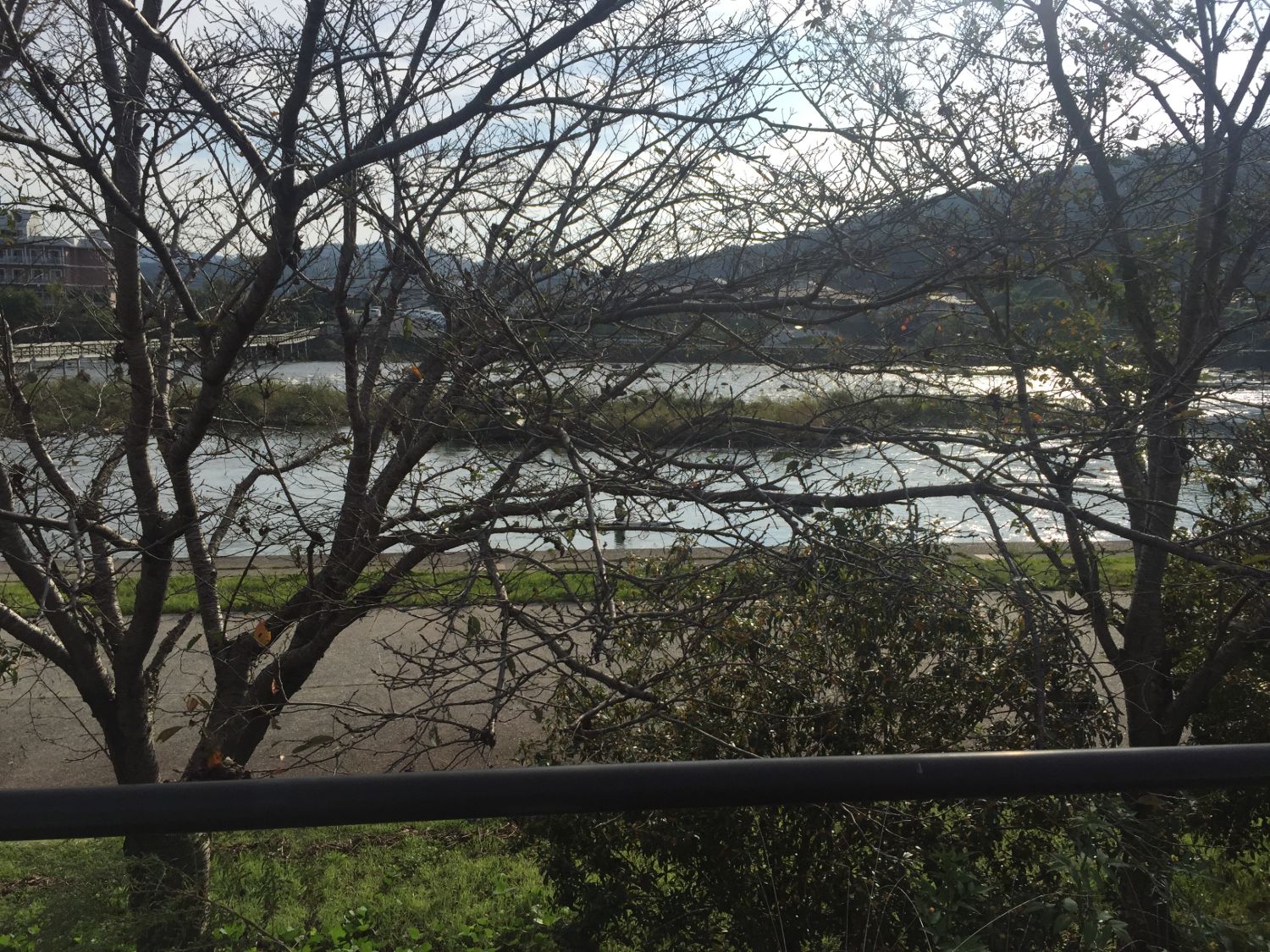 旭川の河川敷