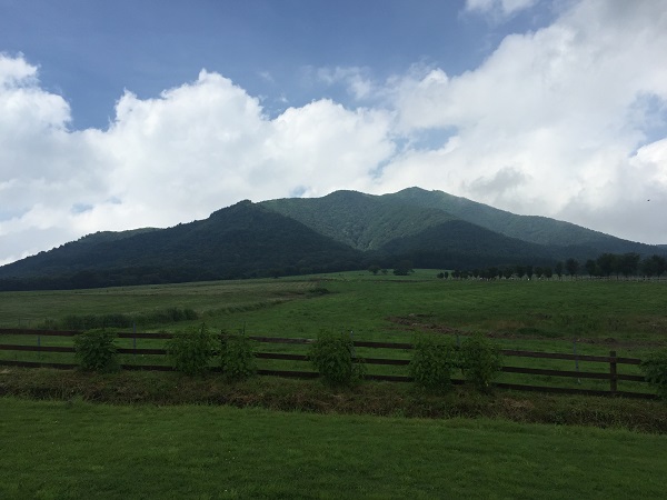 蒜山高原自転車道