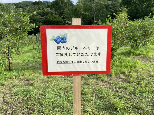 蒜山ハーブガーデン ハービル ― 紫のじゅうたんと、香る高原