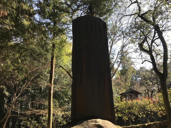 紅葉と三重塔の写真