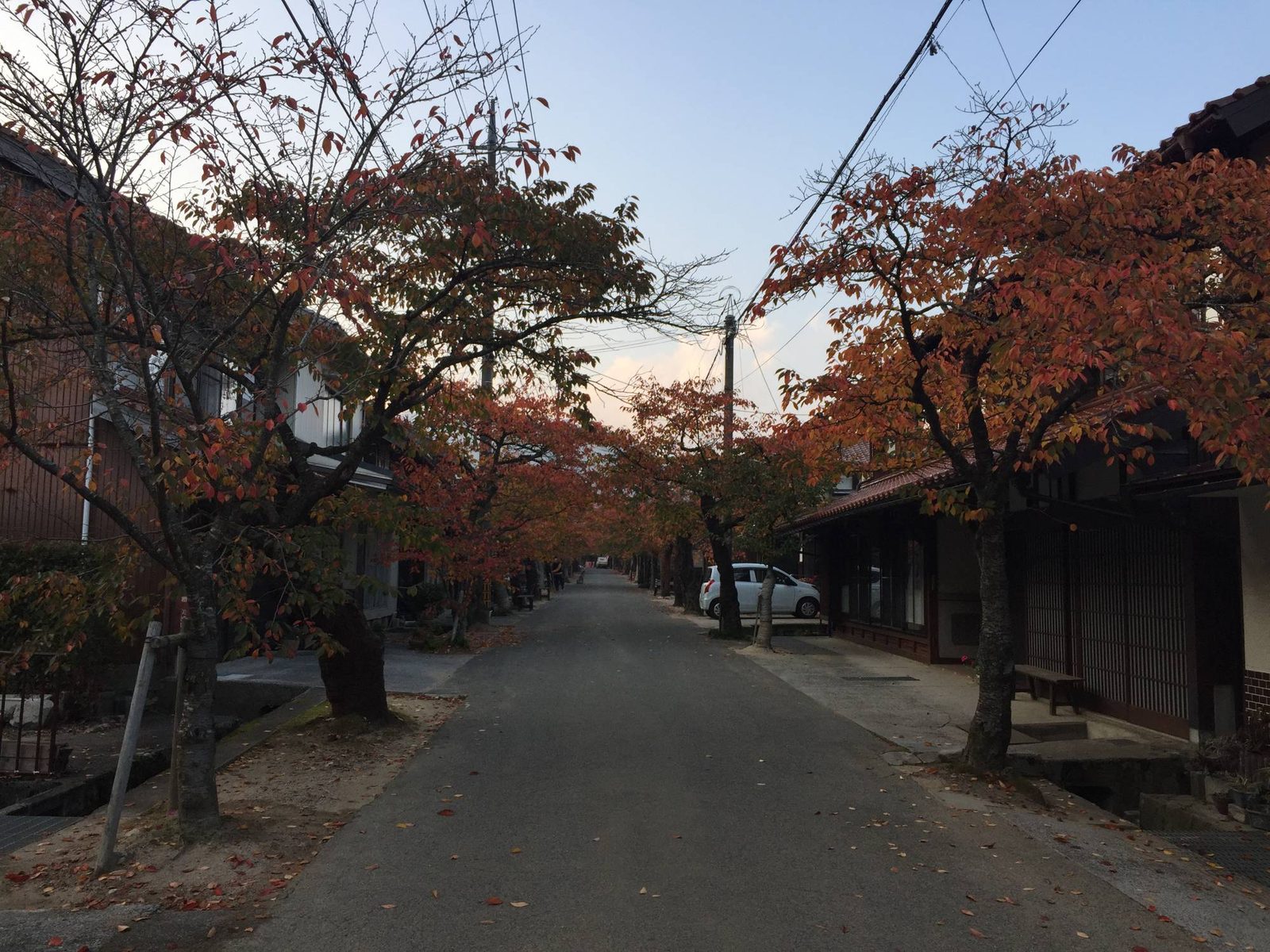 出雲街道の宿場に残る、桜並木と古い町家の通り