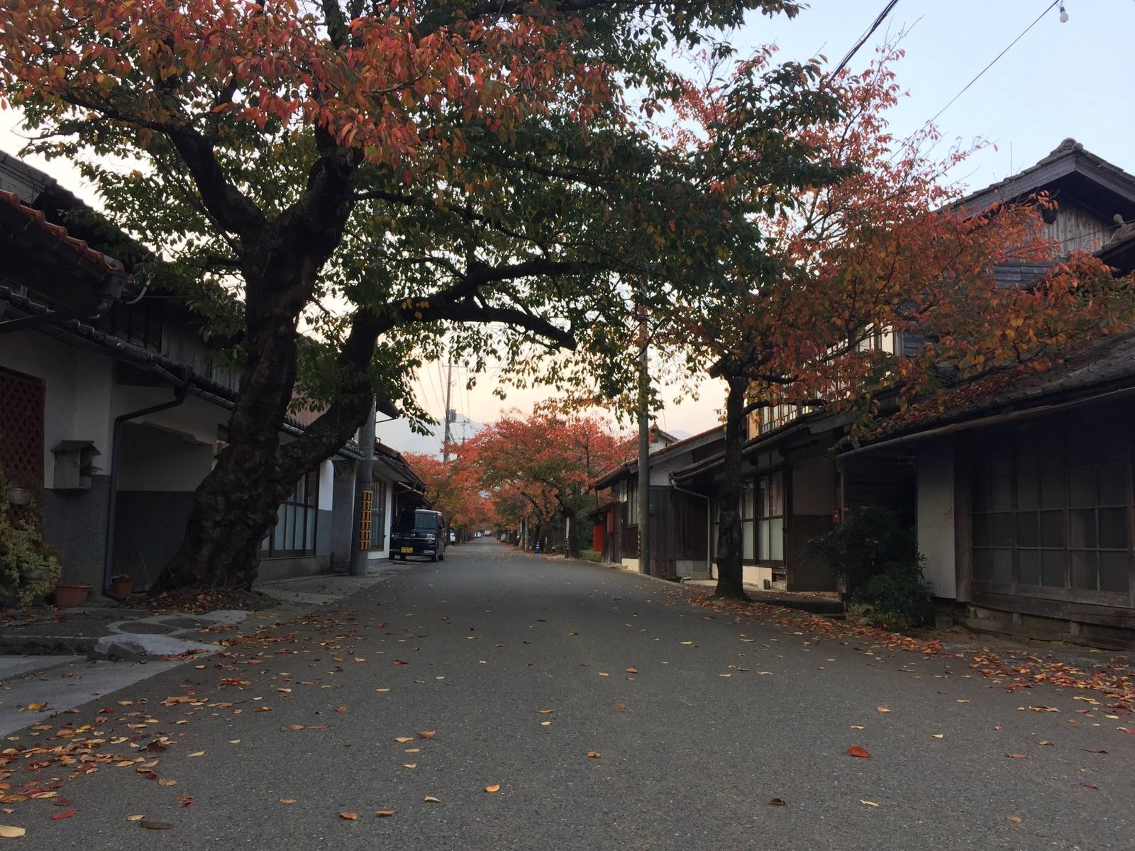出雲街道ぞいに残る宿場の町並み。桜並木と古い家々が続く道