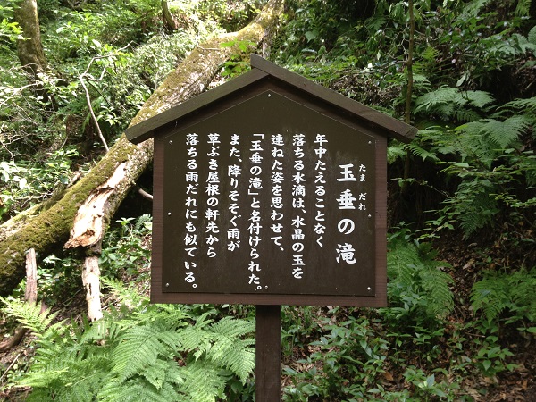 神庭の滝 ― 岩壁を流れ落ちる、西日本有数の名瀑