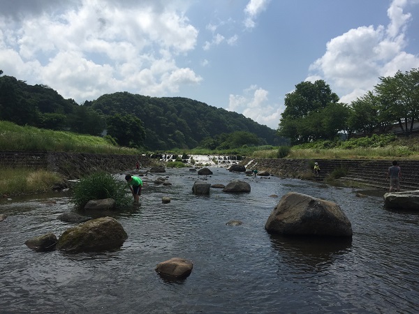 川上河川公園の清流と堰