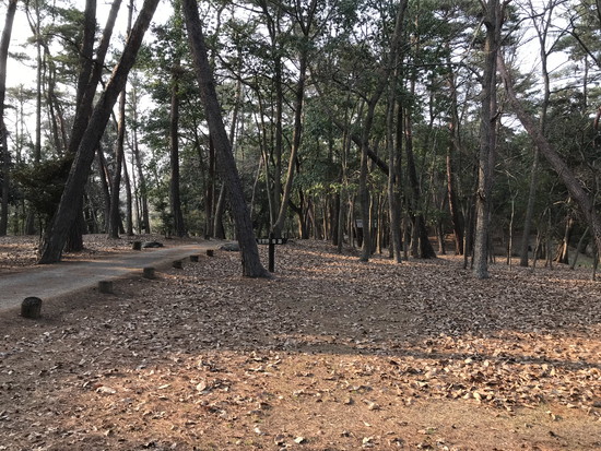 旧山手村役場と旧松井家住宅の写真