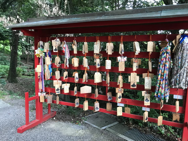 参道と鳥居の写真