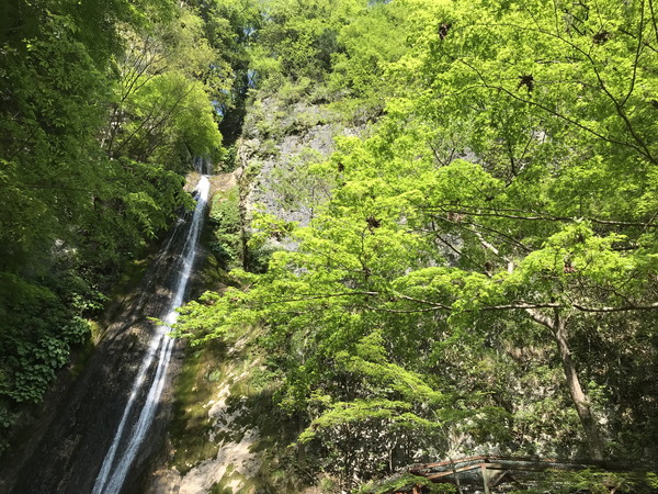 断崖から落ちる滝の写真