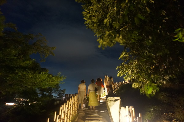 芝生越しに岡山城を望む写真