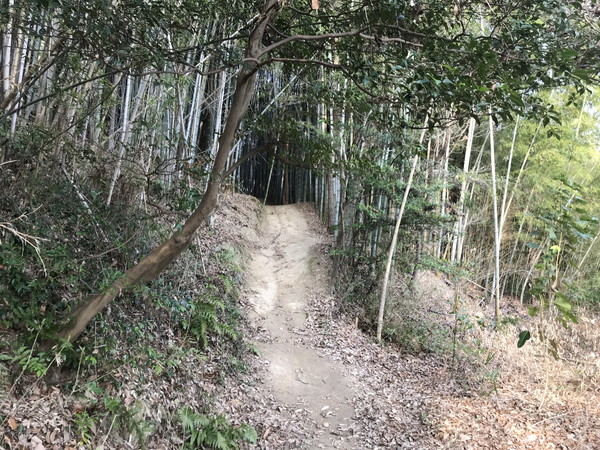 丸山古墳へ続く山道の写真