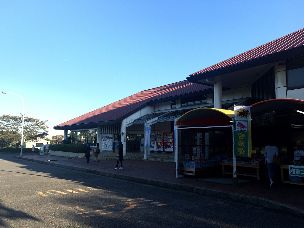 道の駅一本松展望園