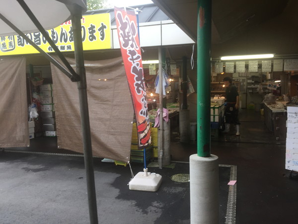 広い芝生広場の写真
