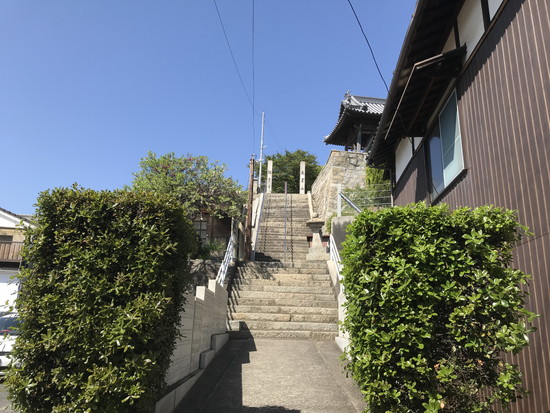 高台から見渡す瀬戸大橋と塩飽諸島