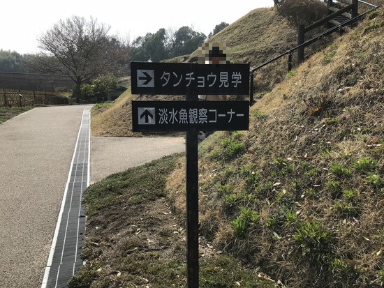 国民宿舎サンロード吉備路 ― 田園に立つ、温泉とタンチョウの宿