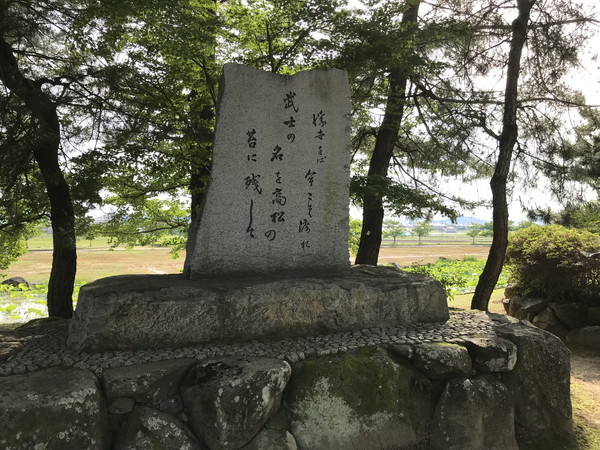 堀跡の蓮の写真