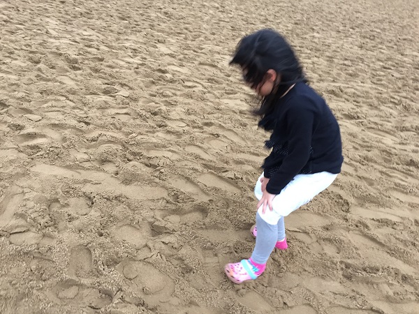 鳥取砂丘の写真