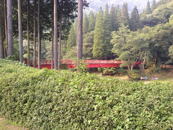 宇甘渓 ― 赤橋がシンボルの紅葉の名渓谷