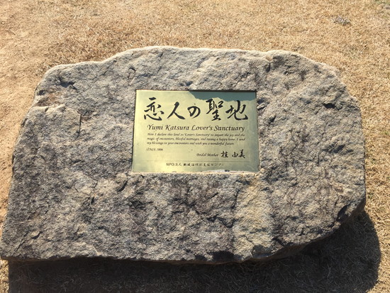オリーブ園から望む海の写真
