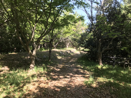 瀬戸大橋と多島美の写真